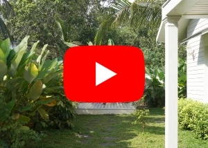 Modern small house in Kerala – 5th Avenue full home tour