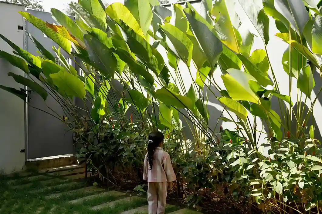 Contemporary house design Kerala – young girl facing lush tropical garden with tall heliconia leaves.