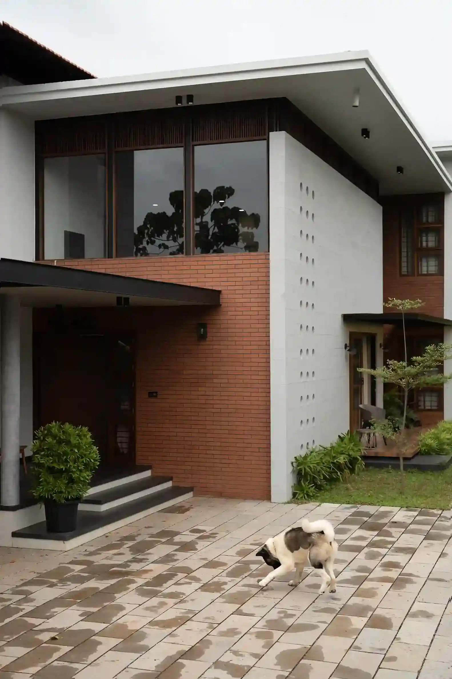 Detailed view of the main entry steps with rich red brick cladding and large dark-framed windows of the KYMARA house.
